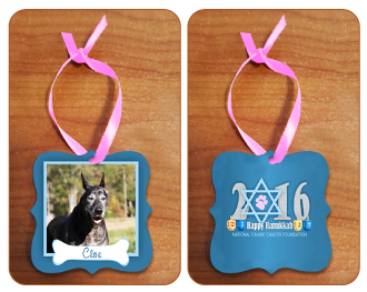 2016 Hanukkah Ornament