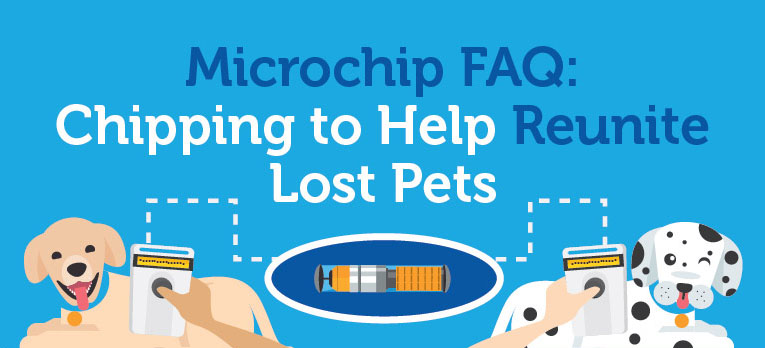 Microchip FAQ: Chipping to Help Reunite Lost Pets