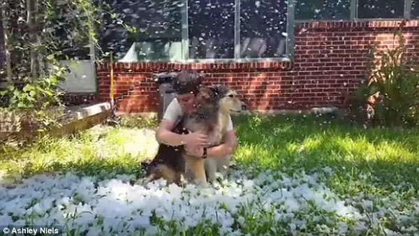 Dog owner who promised her dying pooch one last day in the snow creates a fake blizzard in Texas before he is euthanized