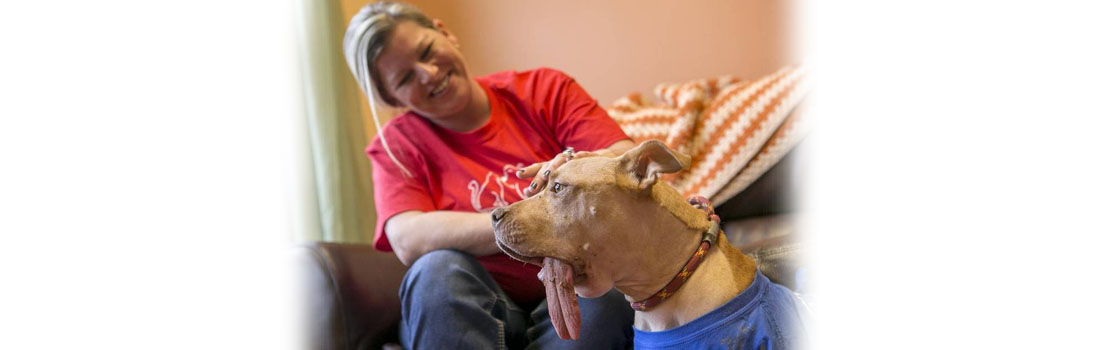 Her foster dog had cancer, but she never gave up hope. Now, the dog is healthy.