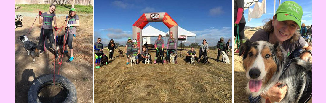 K9 Gladiator Mud Run and Obstacle course in Lone, CA raising money for National Canine Cancer Foundation