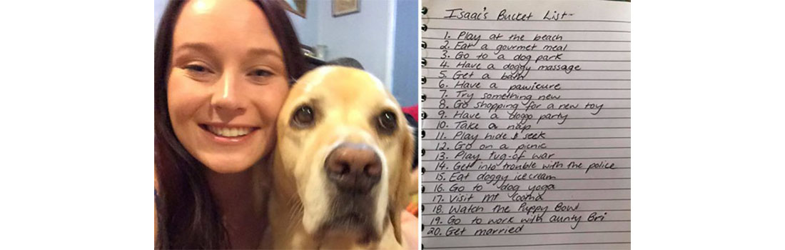 Retired guide dog Isaac ticks off a list of dying wishes after cancer diagnosis