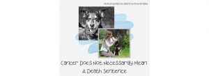 Cancer Does Not Necessarily Mean A Death Sentence