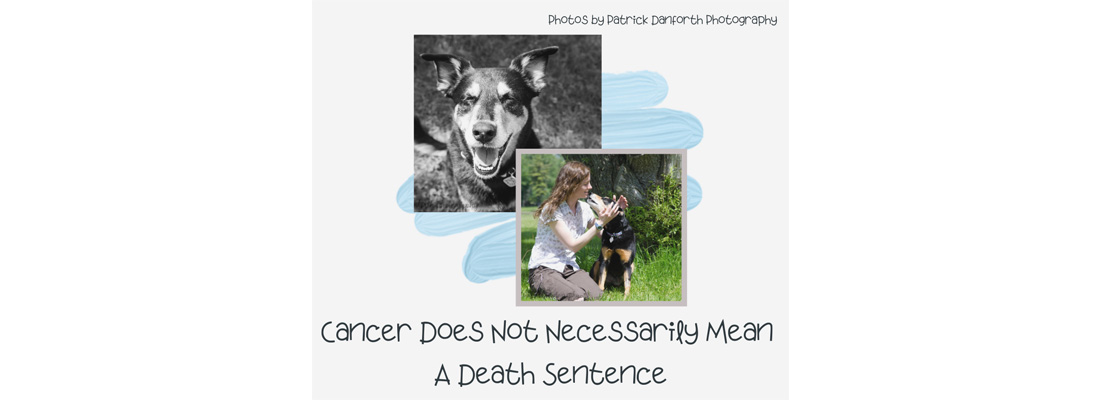 Cancer Does Not Necessarily Mean A Death Sentence