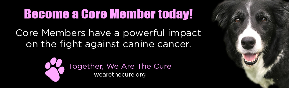 Dispelling the Myths and Misconceptions About Canine Cancer 