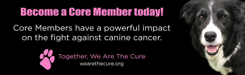 Become a Core Member today!