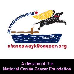 Chase Away K-9 Cancer