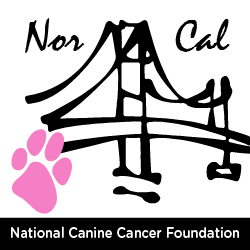 Northern California Chapter of the National Canine Cancer Foundation