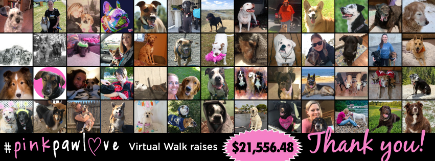 #PinkPawLove Virtual Walk raises $21,556