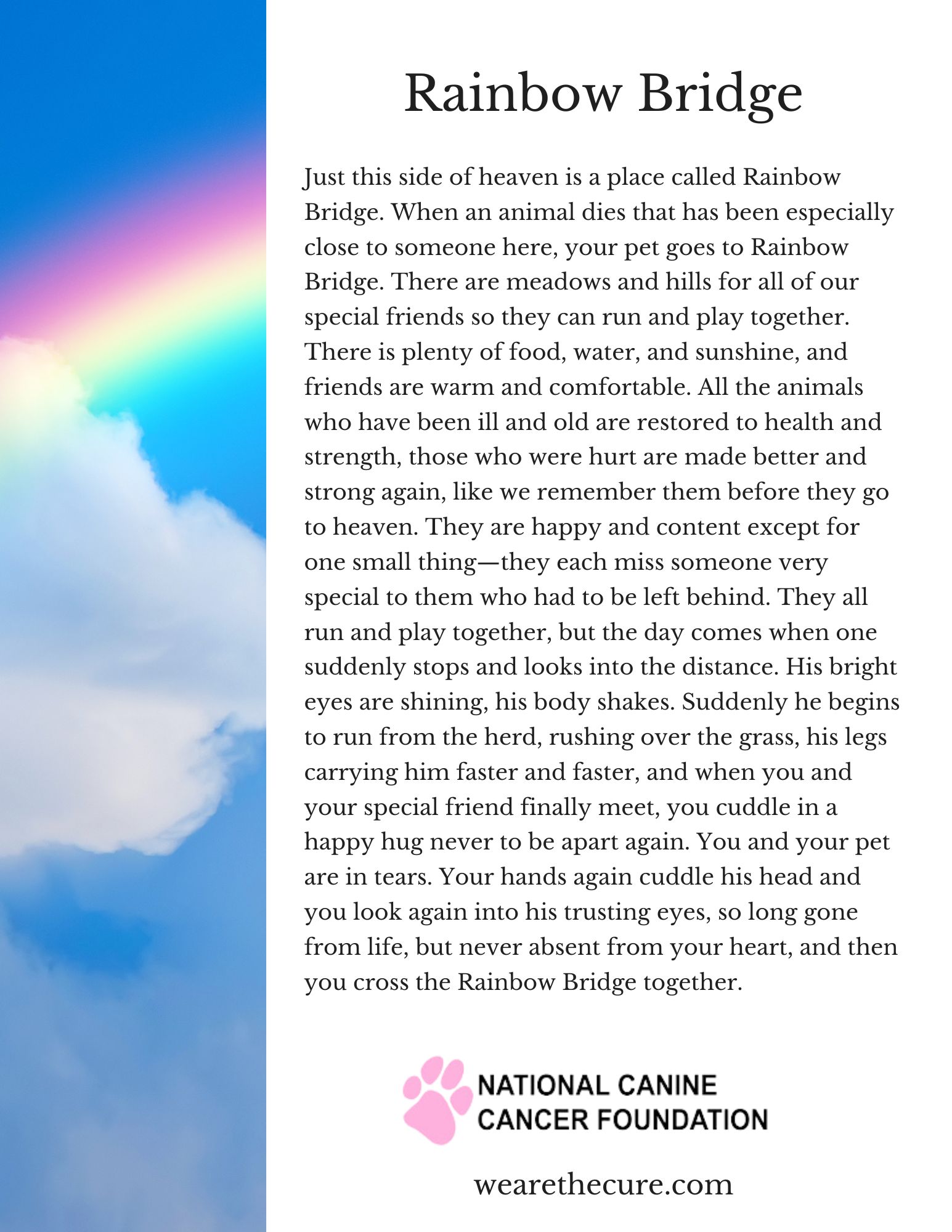 What The Rainbow Bridge Poem Gets Perfectly Right About Pet Loss | The National Canine Cancer Foundation
