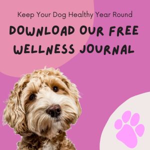 Dog Wellness Journal Download