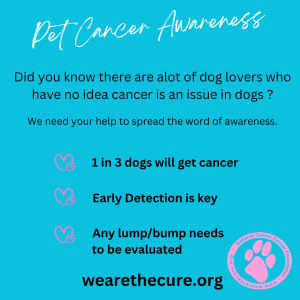 Check Your Dog day is key to dog cancer prevention. This shows you how to check your dogs eyes