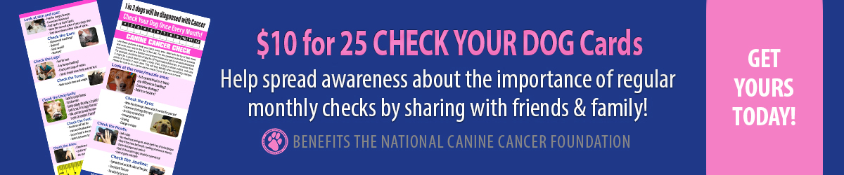 Check Your Dog day is key to dog cancer prevention. This shows you how to check your dogs eyes